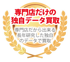 ぼろぼろ壊れたロジェデュブイ専用データ
