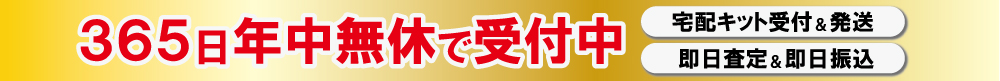 年中無休365日受付即日振込
